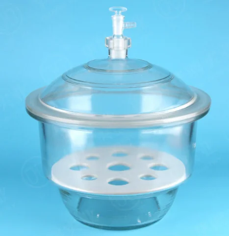 真空干燥器 附瓷板 150mm