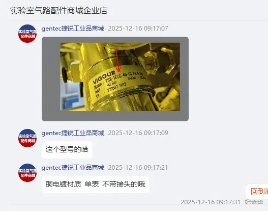 VIGOUR达肯减压阀VSR-1ELC-40-10-F4-P-F4铜电镀材质单表不带接头（1个） - 玖梧精选