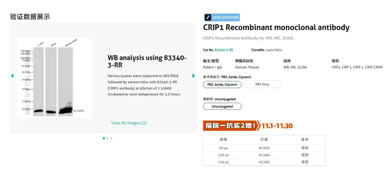 武汉三鹰CRIP1 Recombinant monoclonal antibody83340-3-RR-50ul/支 - Proteintech/武汉三鹰