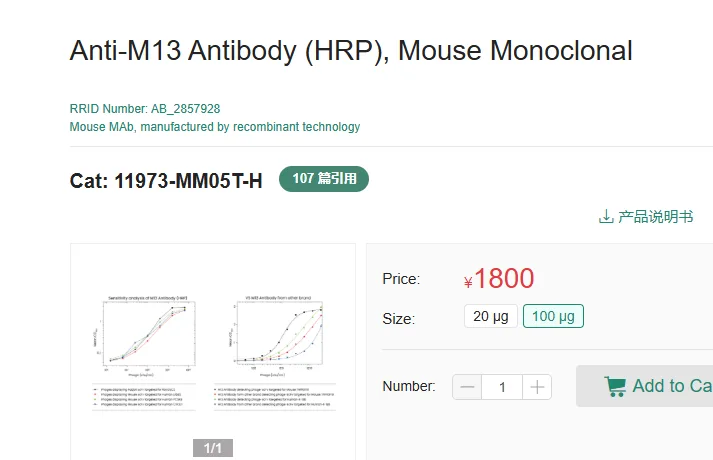 北京义翘 M13-HRP，11973-MM05T-H，100ug/支（支） - 玖梧精选