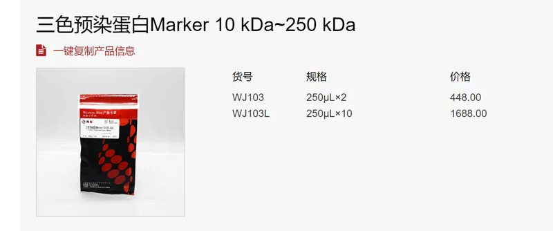雅酶 三色预染蛋白Marker 10 kDa~250 kDa，WJ103，250uL/支（支） - 玖梧精选