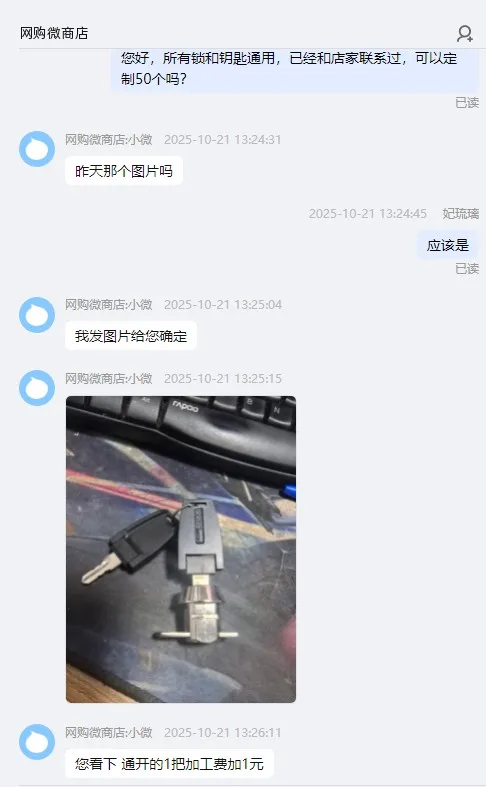 WT望通弹子口舌锁左右推片抽屉锁【定制所有锁和钥匙通用】（1个） - 玖梧精选
