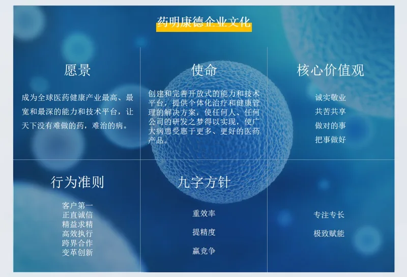 一文拼图定制企业文化拼图30寸96片精简袋装（1份） - 玖梧精选