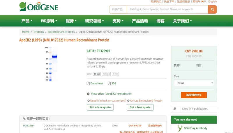 OriGene*TP320903 20ug/支 - 玖梧精选
