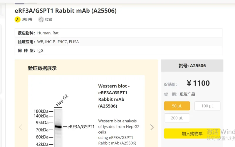 ABlonal eRF3A/GSPT1 Rabbit mAb (A25506) A25506，50μL/支（支） - 玖梧精选
