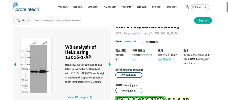 Proteintech IKAROS family zinc finger 1 (Ikaros)，12016-1-AP， 50 μL/支（支） - Proteintech/武汉三鹰