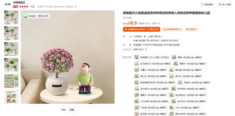 逐趣金枝玉叶+自动吸水盆+铺面石懒人绿植盆栽（个） - 玖梧精选
