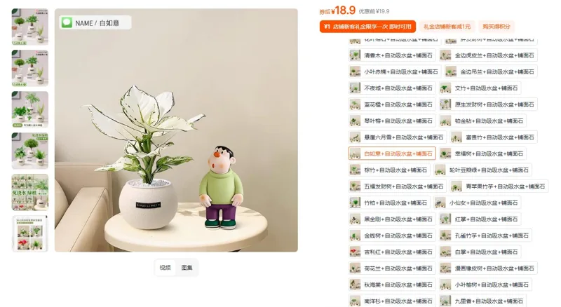 逐趣白如意+自动吸水盆+铺面石懒人绿植盆栽（个） - 玖梧精选