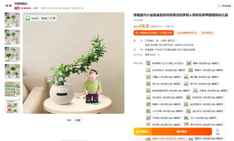 逐趣悬崖六月雪+自动吸水盆+铺面石懒人绿植盆栽（个） - 玖梧精选