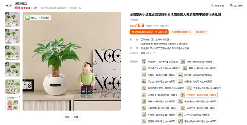 逐趣胖发财树+自动吸水盆+铺面石懒人绿植盆栽（个） - 玖梧精选