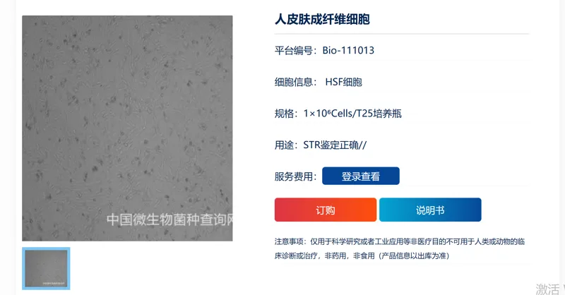 中国微生物菌种库 人皮肤成纤维细胞（HSF）Bio-111013 T25培养瓶（瓶） - 玖梧精选
