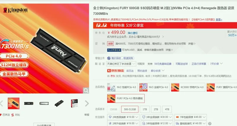 金士顿(Kingston)FURY-PCIe4.0散热器版500-512GB（个） - 金士顿
