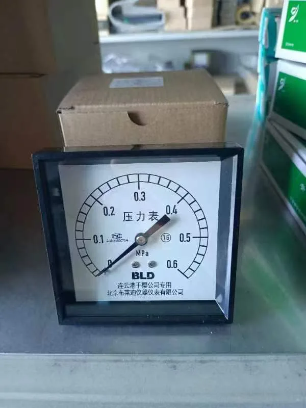 千樱压力表-不锈钢Y100Z-0-0.6MPa（个） - 玖梧精选