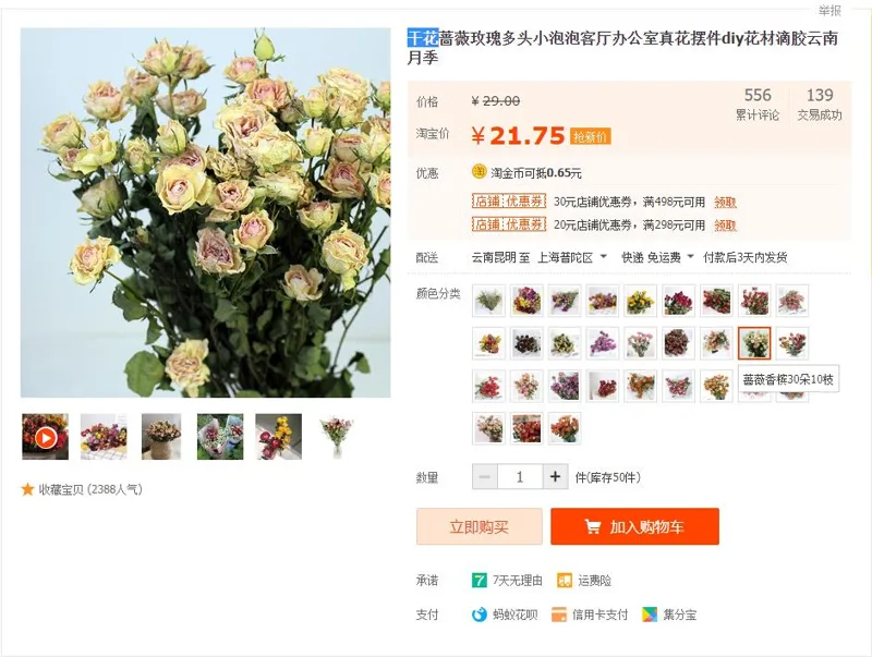 牛牛干花蔷薇香槟30朵10枝（把） - 玖梧精选