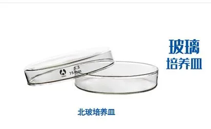 博美 75mm培养皿（个） - 玖梧精选