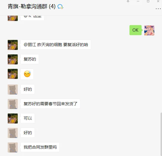 BFB人黑色素瘤细胞MeWo（已复苏）T25培养瓶x1\BFB-BFN60810339 - 玖梧精选