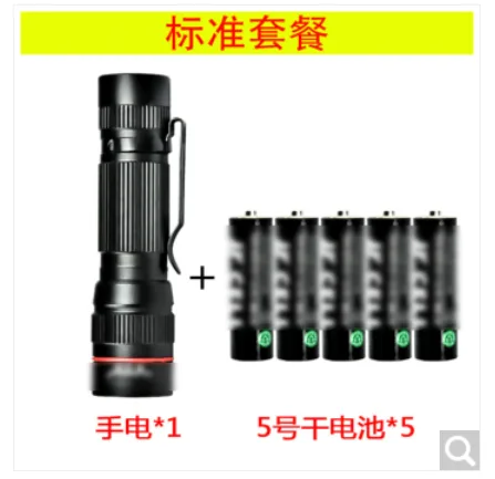 宸芃 66043087556干电池LED迷你手电筒标准套餐（套） - 玖梧精选