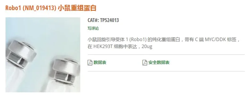 Origene Robo1(NM_019413)小鼠重组蛋白TP524013/1mg（支） - 玖梧精选