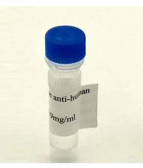 吉纳邦盛 Biolipidure103（瓶）10g - 玖梧精选