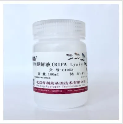 普利莱RIPA裂解液(RIPALysisBuffer)100ml（瓶）C1053 - 玖梧精选