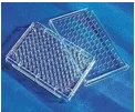 PerkinElmer Phenoplates 6055800 低吸附96孔板，10块/箱 （箱） - 玖梧精选