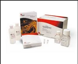 Sciex DNAcapillary 100µmID（个）477477 - 玖梧精选