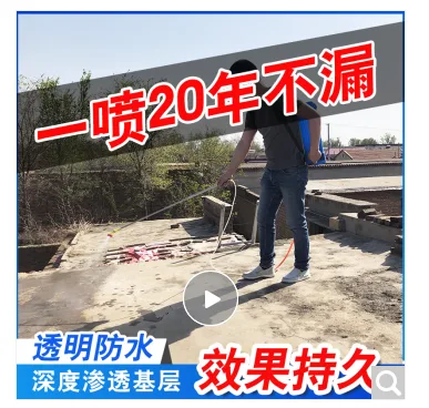 瑞莱沃 10026540194685纳米防水喷雾1000ml稀释+2kg堵漏王（套） - 玖梧精选