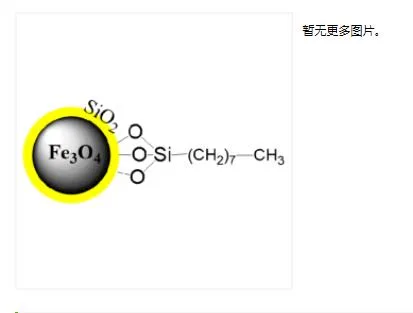 PuriMag普睿迈格 Si-C18十八烷基修饰磁珠10ml（瓶） - 玖梧精选