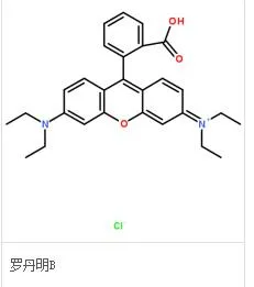 如吉 520-999-010505罗丹明B试剂0.05mg/ml（瓶）100ml - 玖梧精选