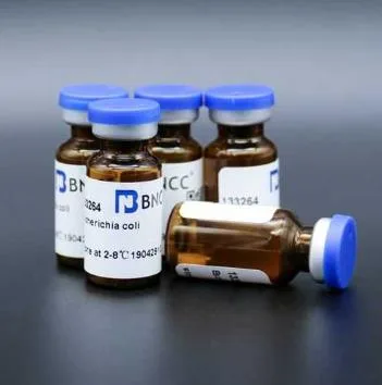 北纳 ATCC32045新型隐球酵母BNCC245768（组）5μg*2支 - BNCC/北纳生物