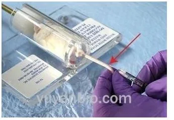 玉研2105-A小鼠固定器（个） - 玉研