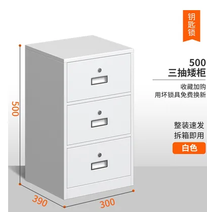 鑫胜 XS-168办公小柜子高500mm深390mm宽300mm厚度1.4mm（个） - 玖梧精选