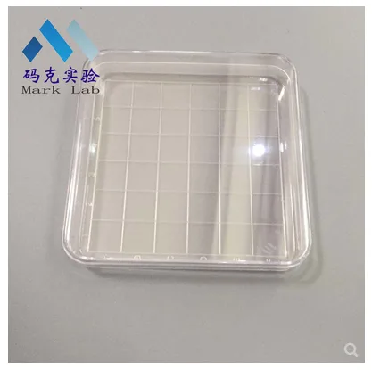 马克 MK-PYM13一次性无菌方培养皿 13cm*13cm无分隔线（个） - 玖梧精选