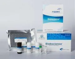 钟鼎生物 AJP12-50T 3靶标PCR核酸产物检测试纸条（裸条) 生物素 50条/包 - 玖梧精选