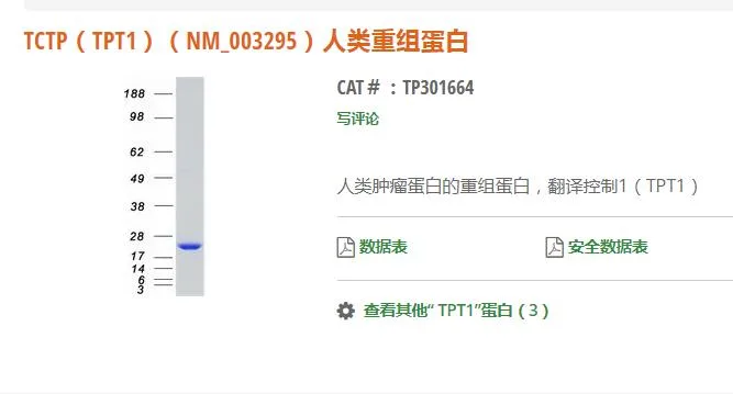 OriGene TCTP（TPT1）（NM_003295）人类重组蛋白TP301664/4mg（支） - 玖梧精选