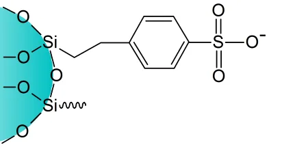 艾杰尔 SC20006 SCX强阳离子交换萃取柱2g/6mL 30支/盒 - 玖梧精选