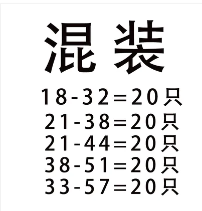 GC-KKBD不锈半钢卡箍圈白色大混装（1包） - 玖梧精选