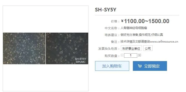 中科院SH-SY5Y人神经母细胞瘤细胞SCSP-5014（支） - 玖梧精选