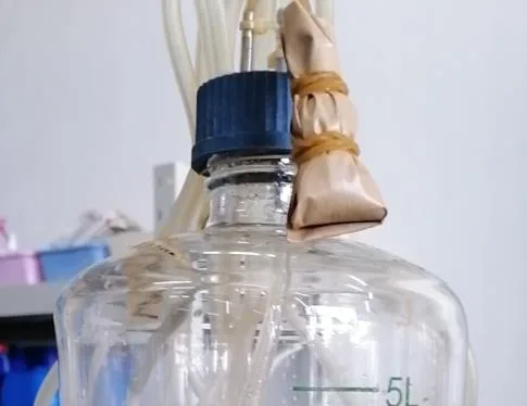 镇江东方 5L补料瓶耐高温瓶盖（个） - 玖梧精选