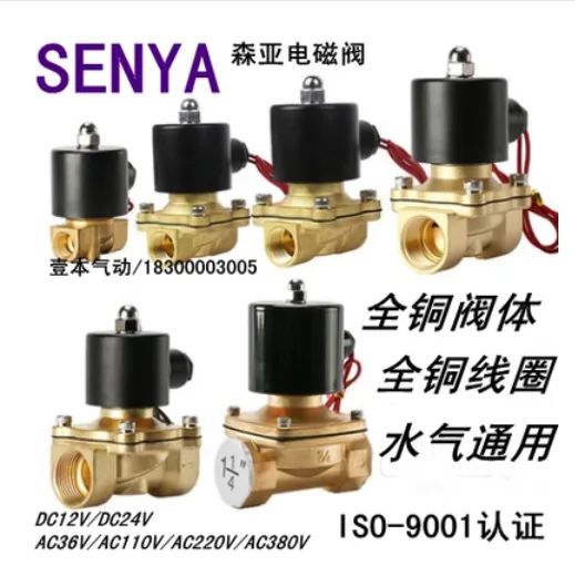 亚森 电磁阀 2w-160-15 AC380V （台） - 玖梧精选