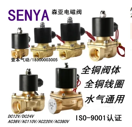 亚森 电磁阀 2W-200-20 AC380V （台） - 玖梧精选