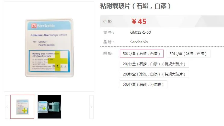 赛维尔G6012-1-50粘附载玻片（石蜡，白漆）50片（盒） - Servicebio/赛维尔