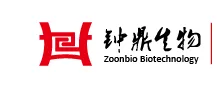 钟鼎生物 3靶标PCR核酸产物检测试纸条 50条/包 - 玖梧精选
