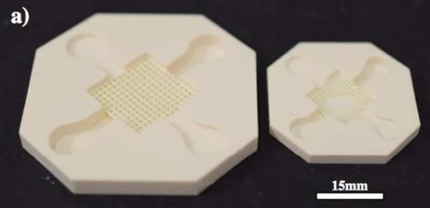 大橡科技SE109620 IBAC® S1 3D微器官芯片10片/包 - 玖梧精选