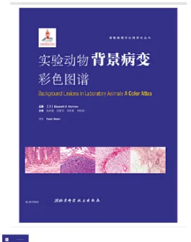 实验动物背景病变彩色图谱 （本） - 玖梧精选