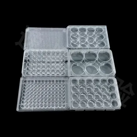 Greiner 384孔板BioOne (781280) 100/箱（箱） - 玖梧精选
