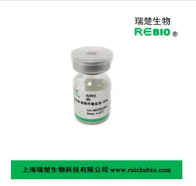 瑞楚生物REBIO灭活卡介苗佐剂REBIO-R19021（只） - 玖梧精选