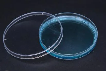 普瑞奇 一次性塑料无菌培养皿90mm（包）10个 - 玖梧精选