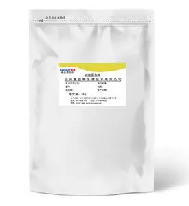 夏盛 食品级碱性蛋白酶20万（包）1kg - 玖梧精选