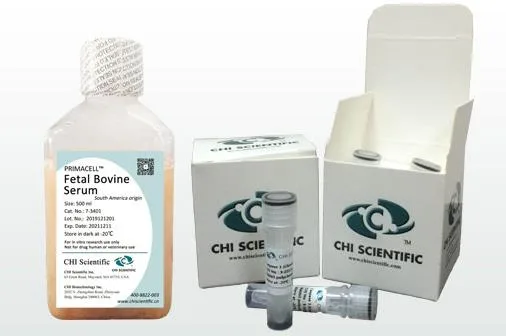 CHISCIENTIFIC 2-96081人肺成纤维细胞培养试剂盒（盒） - 玖梧精选